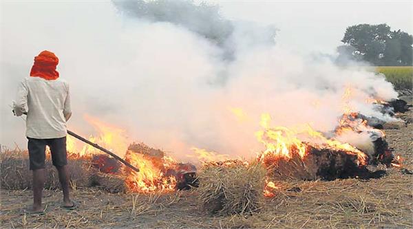 stubble burning in punjab
