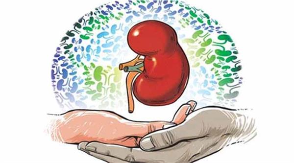 uk unveils new organ donation plan