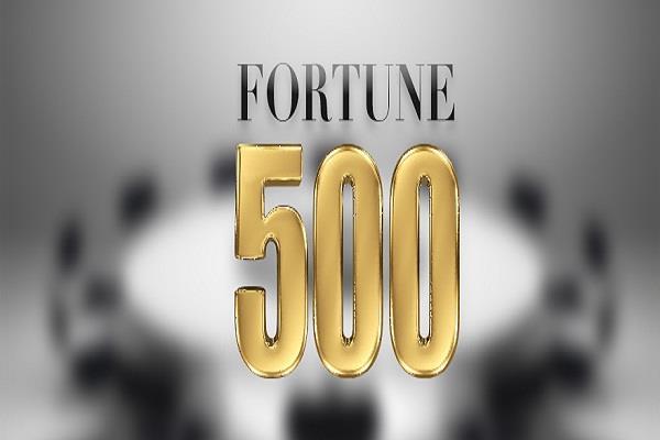 7 fortune 500 companies made the fortune 500