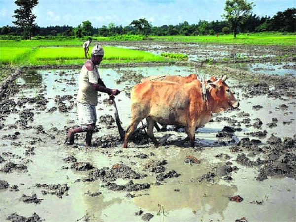 karnataka cabinet approves rs 30 163
