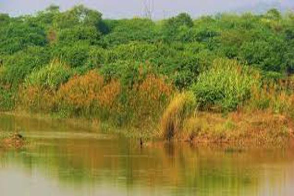 sukhna wildlife century