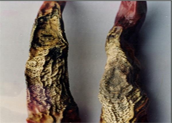 be sure to preserve the