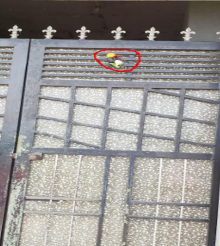 ਭੂਤ-ਪ੍ਰੇਤ ਜਾਂ ਵਹਿਮ, ਇਥੇ ਰਾਤ ਹੁੰਦੇ ਹੀ ਘਰ ਛੱਡ ਕੇ ਚਲੇ ਜਾਂਦੇ ਨੇ ਲੋਕ