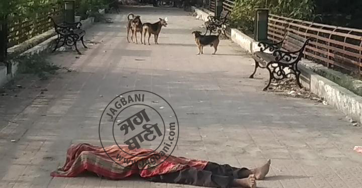 ਪੁਲ 'ਤੇ ਪਈ ਰਹੀ ਲਾਸ਼ ਤੇ ਮੂੰਹ ਮਾਰਦੇ ਰਹੇ ਕੁੱਤੇ