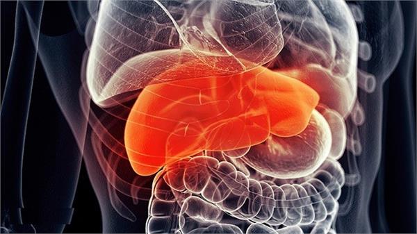 liver infection can lead to deadly diseases