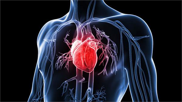 no  cholesterol  carbohydrate caused by arterial disease