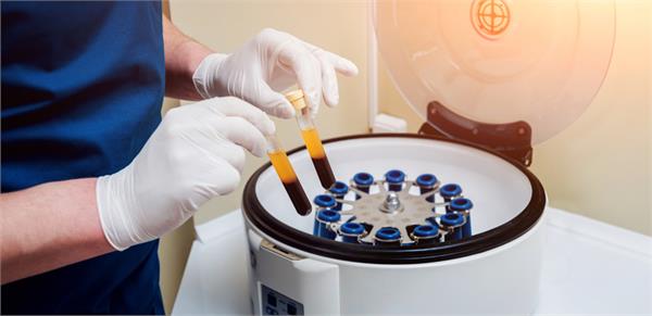 platelets can kill 60 per cent of malaria parasites