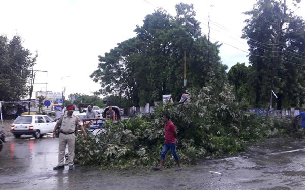 monsoon rains and hurricanes cause rain