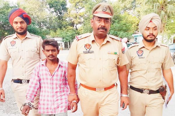 illegal ties suicides