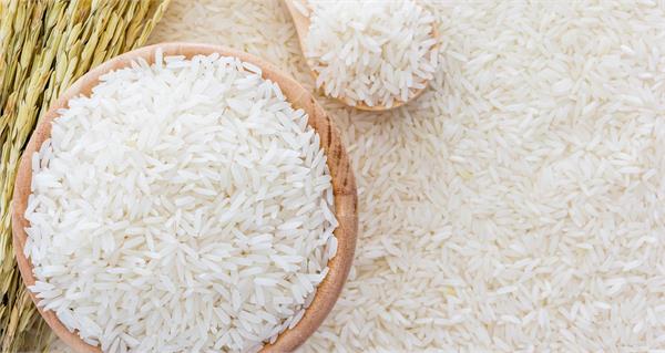 india to feed rice to china challenging usa