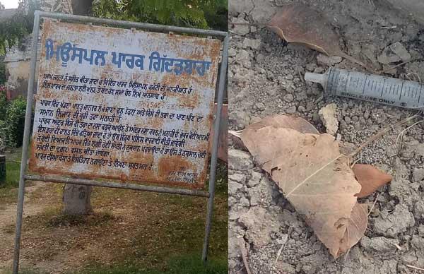 the drug addicts created a municipal park