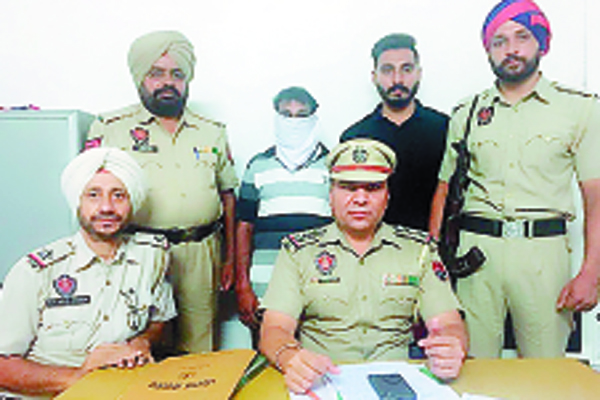 330 ਪੇਟੀਅਾਂ ਸ਼ਰਾਬ ਬਰਾਮਦ