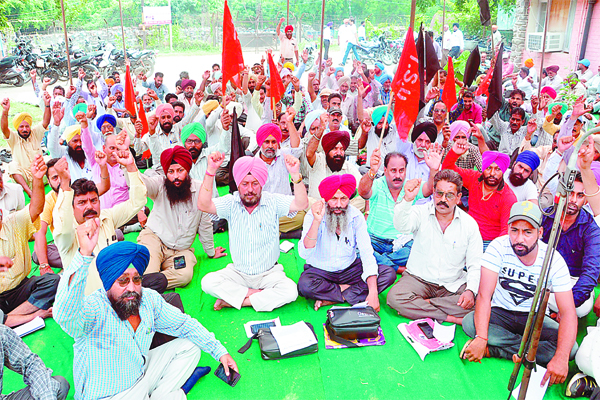 ਟੀ. ਐੈੱਸ. ਯੂ. ਦੇ ਮੁਲਾਜ਼ਮਾਂ ਨੇ ਠੋਕਿਆ ਬਿਜਲੀ ਮੈਨੇਜਮੈਂਟ ਖਿਲਾਫ ਧਰਨਾ