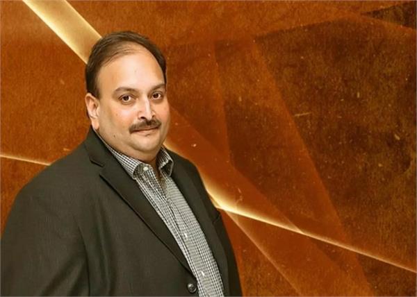 pnb scam video released from antigua to meghal vigilance