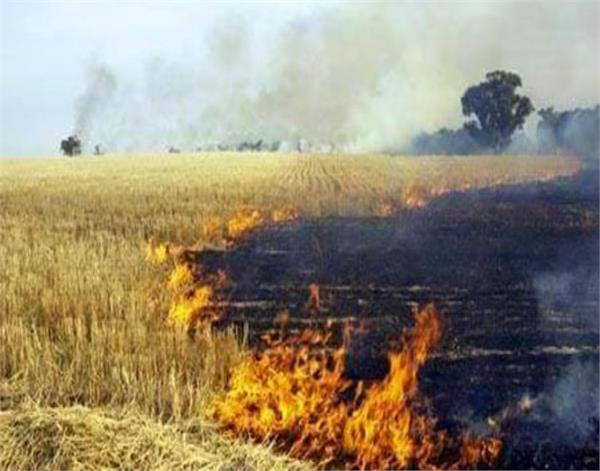 chandigarh  pali burning  8000 nodal officers