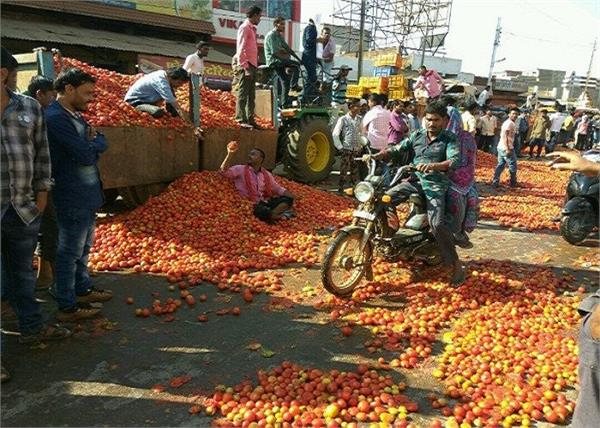 bumper production of tomatoes pockets still empty