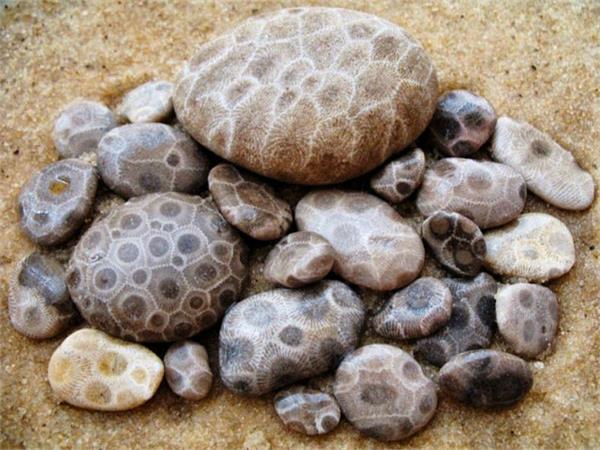 one stone