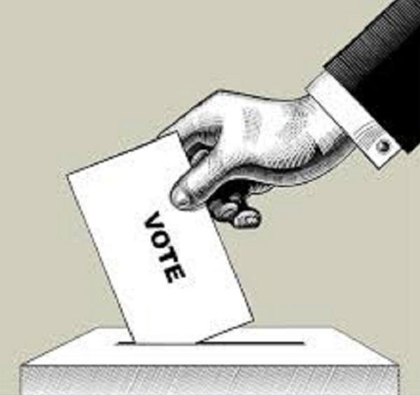 zila parishad and panchayat samities 53 booths  re polling