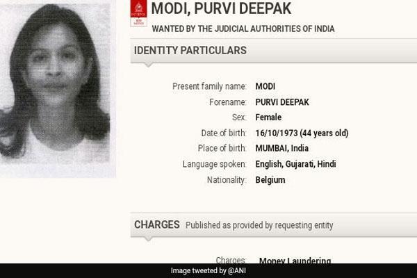  interpol s red corner notice issued against purvi modi