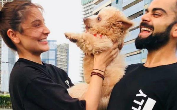 virat did disclosure   what was time of marriage with anushka in the brain 