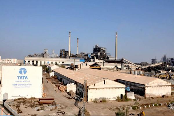 tata chemicals net profit