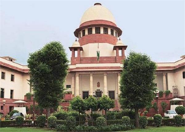 supreme court orders maharashtra government no more trees to be cut