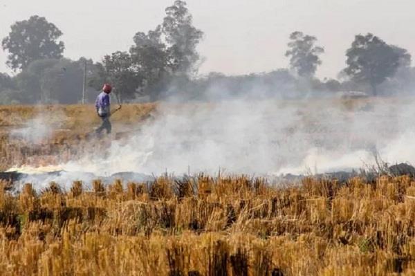 farmers are burning parali in haryana