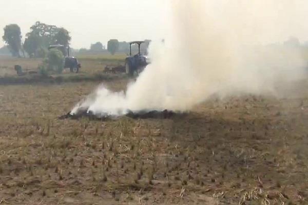 barnala  straw  smoke