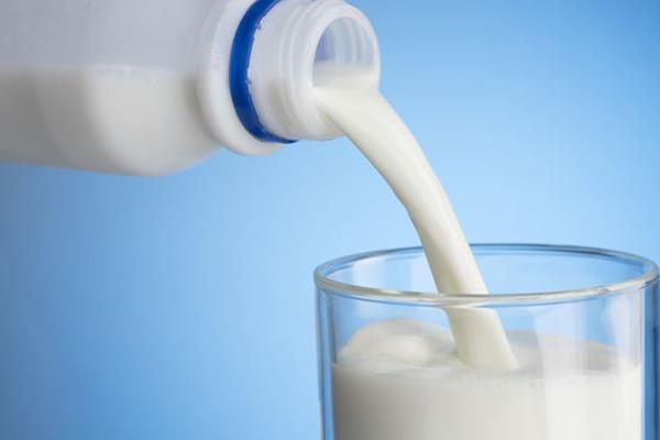milk in mid day meal
