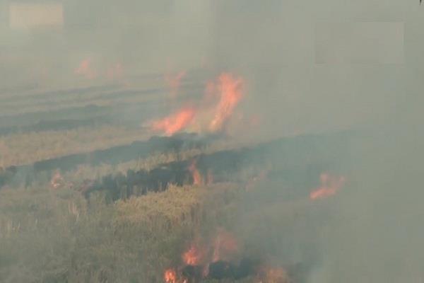 action against farmers burn stubble in kaithal