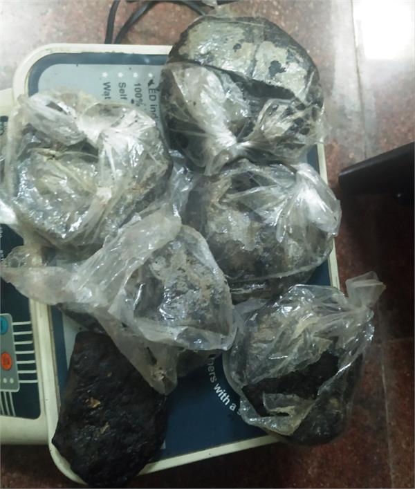 custom department arrest two sikh pilgrims