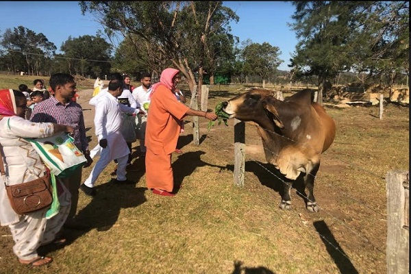 ਜਦੋਂ ਗਊਆਂ ਵਾਲਿਆਂ ਦੇ ਸ਼ਿਸ਼ ਸਿਡਨੀ ਵਿਖੇ ਗਊਸ਼ਾਲਾ ਦੇਖ ਕੇ ਹੋਏ ਅਤਿਅੰਤ ਖੁਸ਼