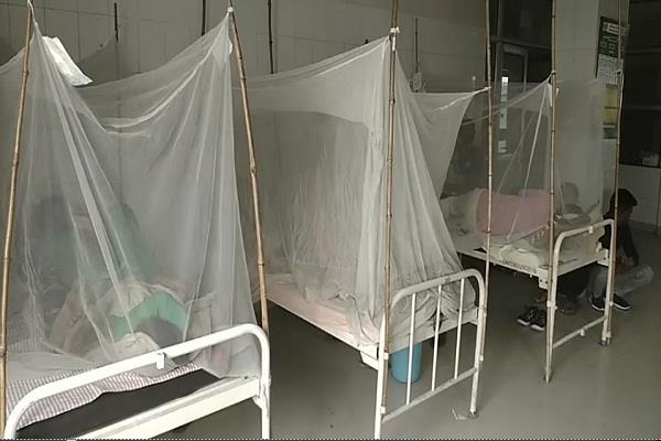 dengue in ludhiana