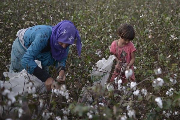 syria displaced people