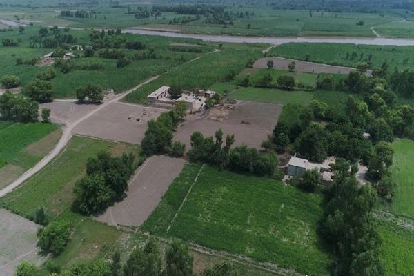 farmers and dalit organizations  punjab  agitation 