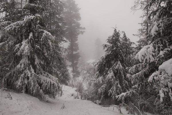 heavy snowfall in himachal