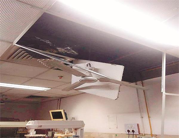 amritsar  babe nanaki mother and child care center  ceiling  children  death