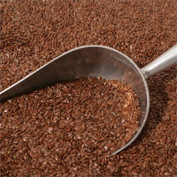 linseed seeds health benifits