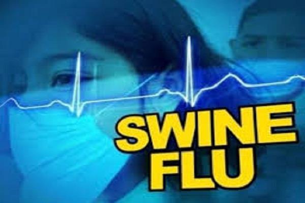 2 deaths with swine flu
