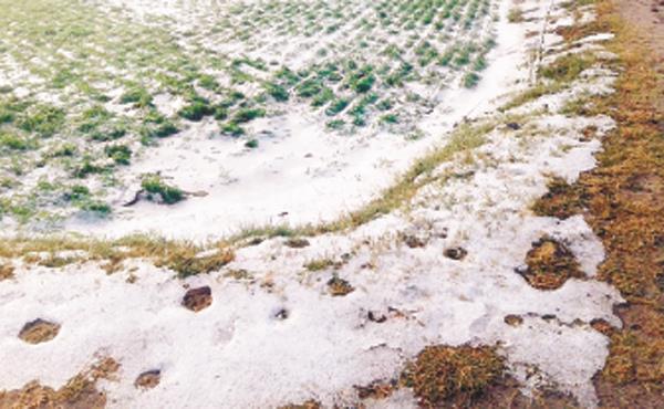 thousands of acres of crop damage