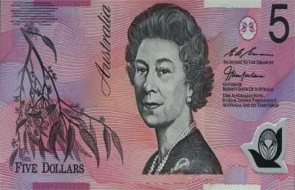 hindu organization tell r b australia not print notes made with beef
