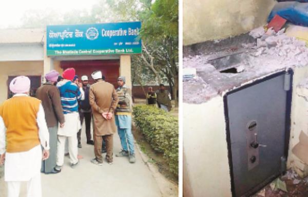 bank  thief arrest