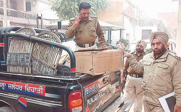 shops raid