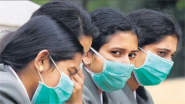 india swine flu