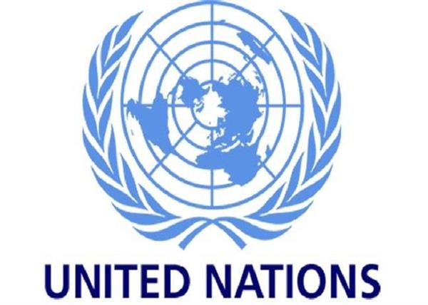 united nations  employees