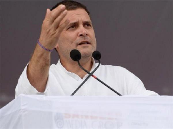 rahul gandhi may contest loksabha polls