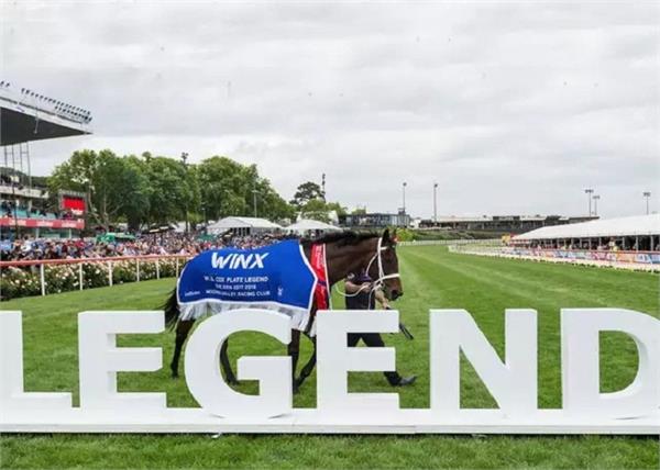 australia  champion horse winx