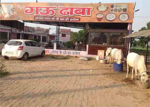 kumbh mela cow dhaba food