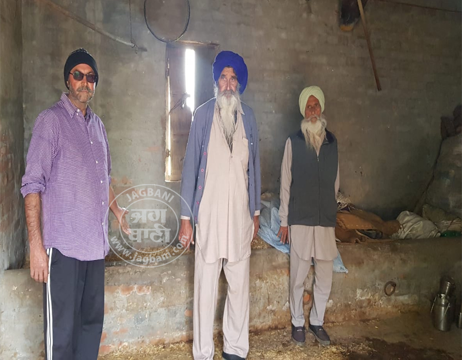 ਚੋਰਾਂ ਨੇ ਹਵੇਲੀ ''ਚੋਂ 9 ਪਸ਼ੂ ਕੀਤੇ ਚੋਰੀ