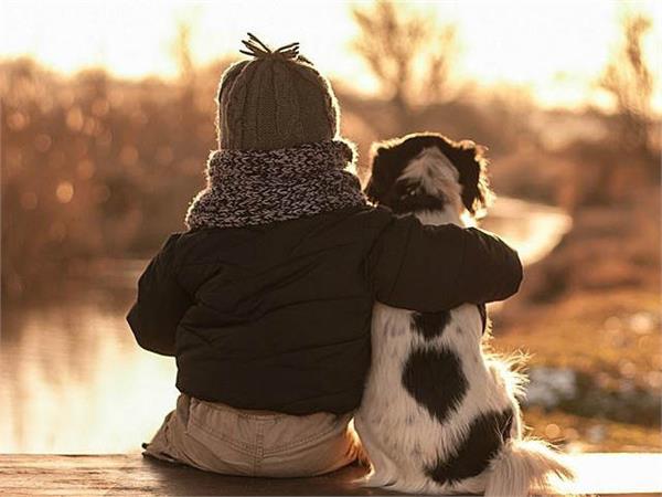 relationships between dogs and humans